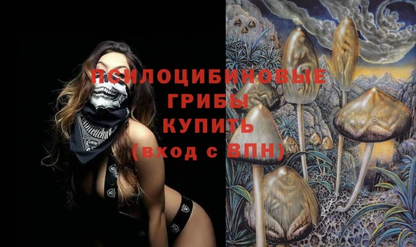 круглые Алексеевка
