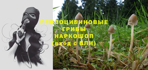 круглые Алексеевка